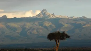 Království antilop