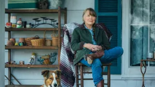 Gentleman s pistolí