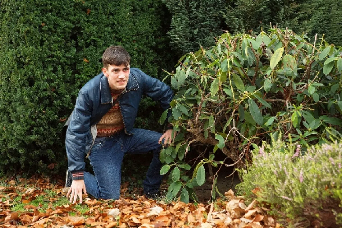 Krycí jméno: Nehoda (Accident Man), 2017 - fotogaléria