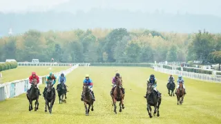 O lidech a koních (3)