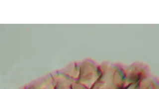 Tajemství lidského mozku (1)