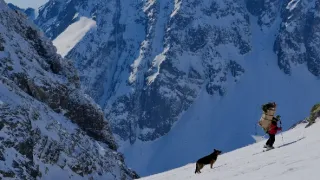 Svoboda pod nákladem