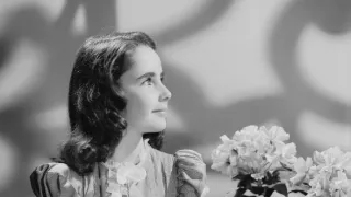 Hvězdy stříbrného plátna