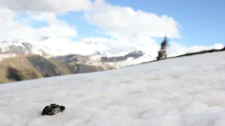 Rok na planetě Zemi (2/6)