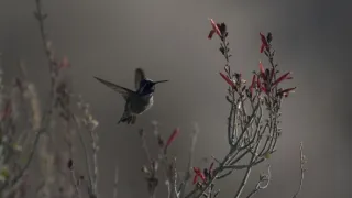 Rok na planetě Zemi (2/6)