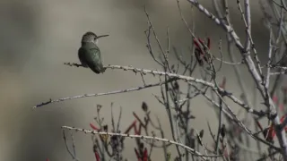 Rok na planetě Zemi (2/6)