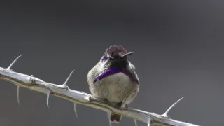 Rok na planetě Zemi (2/6)