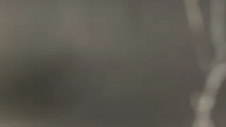 Rok na planetě Zemi (2/6)