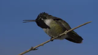 Rok na planetě Zemi (2/6)