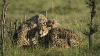 Rok na planetě Zemi (2/6)