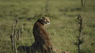 Rok na planetě Zemi (2/6)