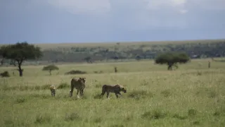 Rok na planetě Zemi (2/6)