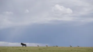 Rok na planetě Zemi (2/6)