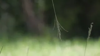 Rok na planetě Zemi (2/6)