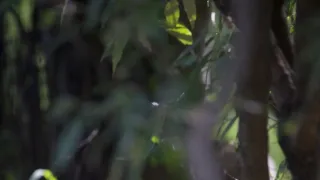 Rok na planetě Zemi (2/6)