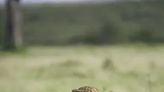 Rok na planetě Zemi (2/6)