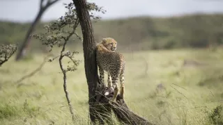 Rok na planetě Zemi (2/6)