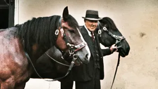 My, občané Protektorátu (3/3)