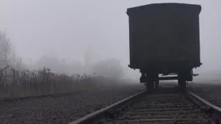 999 zapomenutých dívek