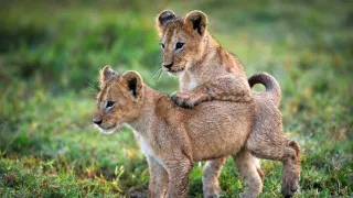 Zázračná planeta II (5)