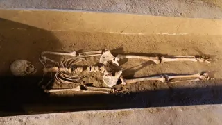 Záhady Toma Wizarda