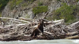 K Pacifiku přes Coast Mountains
