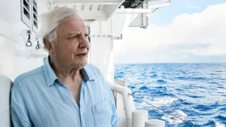 Modrá planeta II (4)