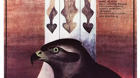 Jestřábí moudrost