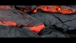 Planeta Země: Síly života