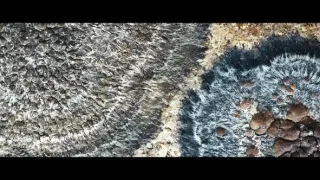 Planeta Země: Síly života