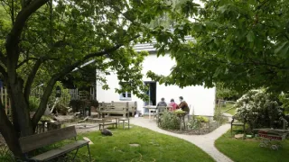 Tři v zahradě (1/8)