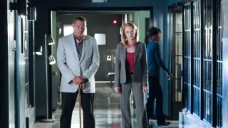 Kriminálka Las Vegas XI