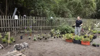 Tři v zahradě (1/8)