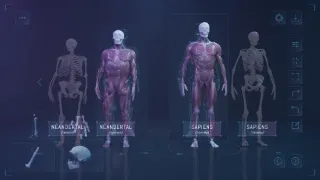 Neandertálci: Kdo má na svědomí naše příbuzné?