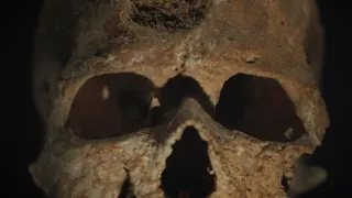 Neandertálci: Kdo má na svědomí naše příbuzné?