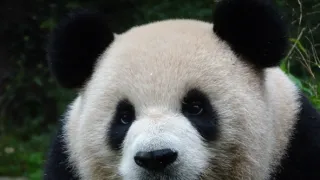 Rok na planetě Zemi (3/6)