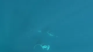 Rok na planetě Zemi (3/6)