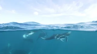 Rok na planetě Zemi (3/6)