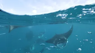 Rok na planetě Zemi (3/6)