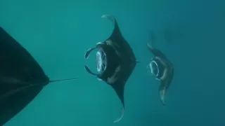 Rok na planetě Zemi (3/6)