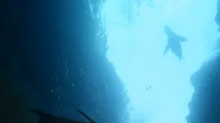 Rok na planetě Zemi (3/6)