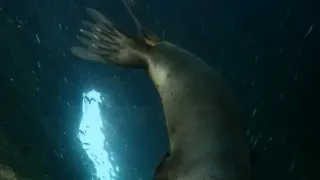 Rok na planetě Zemi (3/6)