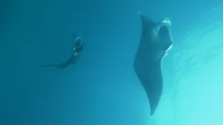 Rok na planetě Zemi (3/6)