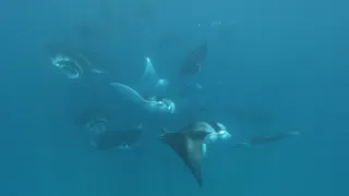 Rok na planetě Zemi (3/6)