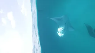 Rok na planetě Zemi (3/6)