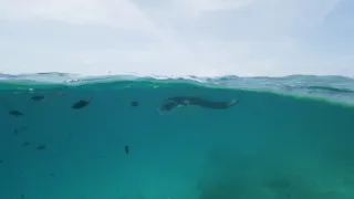 Rok na planetě Zemi (3/6)