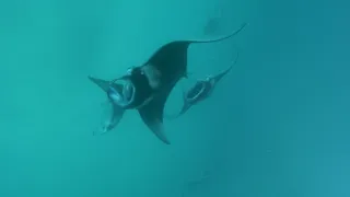 Rok na planetě Zemi (3/6)