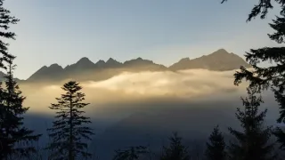 Hohenlohe knieža Tatier