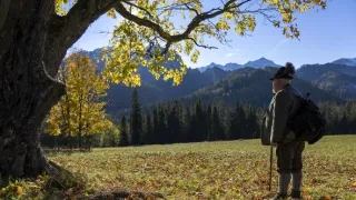 Hohenlohe knieža Tatier