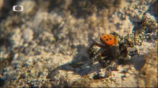 Klenoty naší krajiny